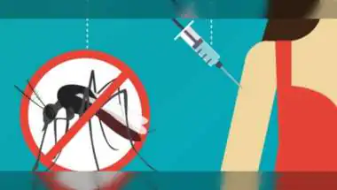 India Approves First Dengue Vaccine QDENGA