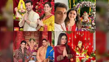 Arjun Bijlani, Delnaaz Irani & Others Welcome Bappa Home