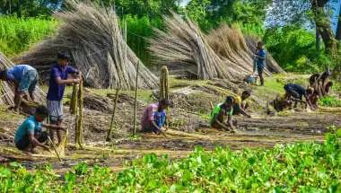 PM Dhan-Dhaanya Krishi Yojana Turns 1: Progress in 100 Districts