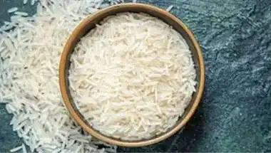 India Holds 40% of Global Rice Exports, But Freight Bites